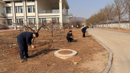F:\00分公司季度检查\2026年\办公室\3.2026年宣传\3月份\7植树3